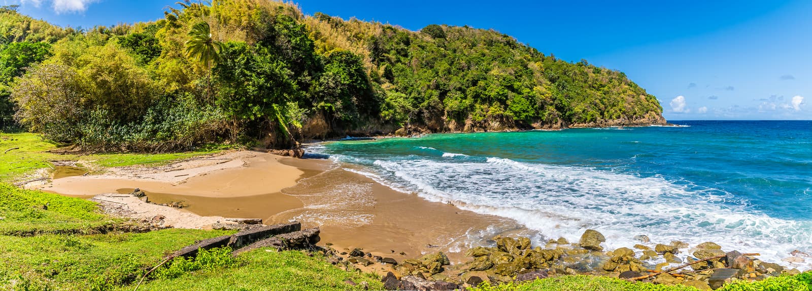 Small bay with surf and forested slopes down to the water