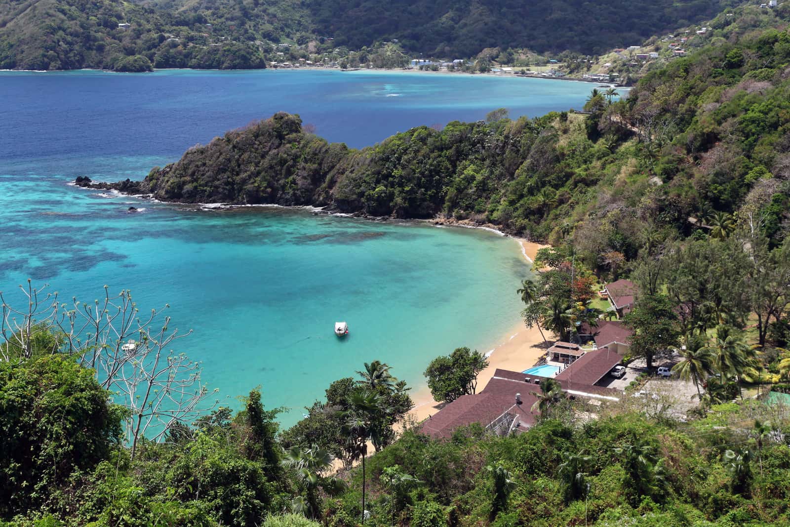 Turquoise bay at Speyside with a wooded island offshore