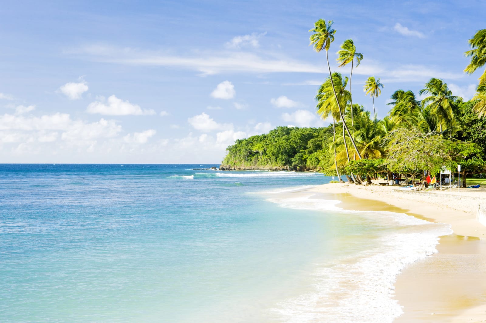 Pale sandy beach with tall palms, turquoise water and a wooded headland