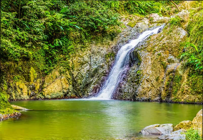 Wasserfall über moosbewachsenem Fels in ein grünes Becken